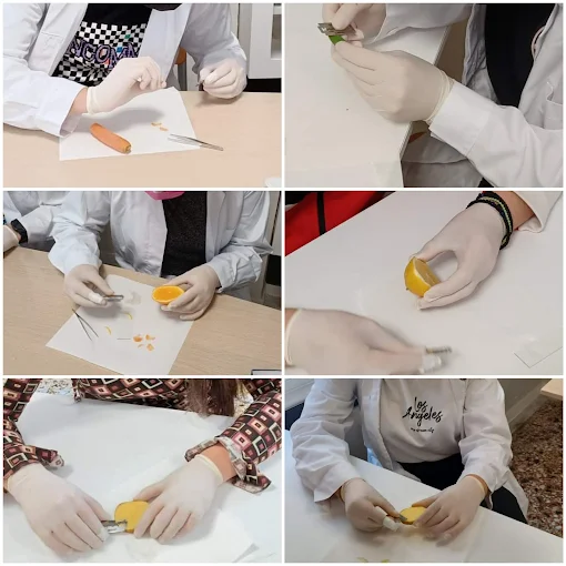 experiments  - irakleitos school of general education drama