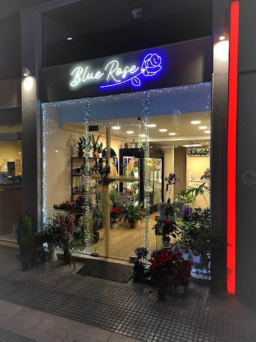outdoors - blue rose flower shop and event planner alexandroupoli 