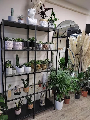 indoors  - blue rose flower shop and event planner alexandroupoli 