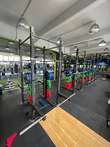 indoors gym - life fitness center