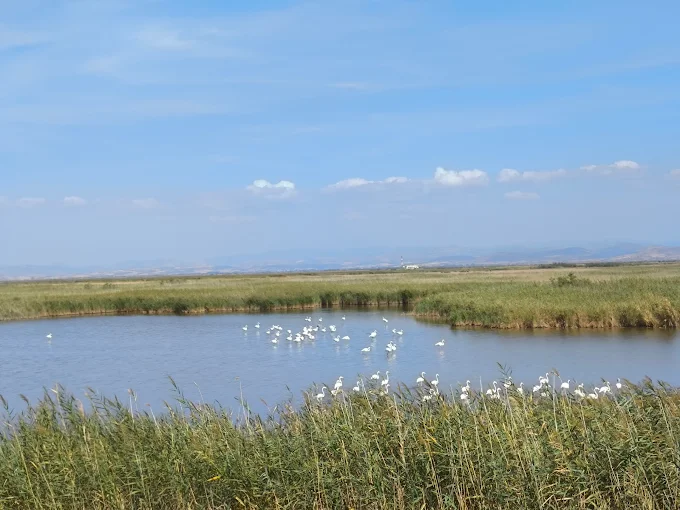 river - Delta Evros Exlporer alexandroupoli
