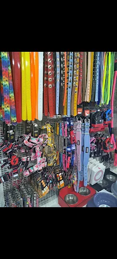pet accessories - my pet house pet shop komotini