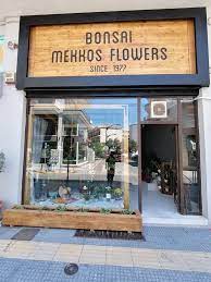 outdoors - bonsai mekkos flowers flower shop komotini